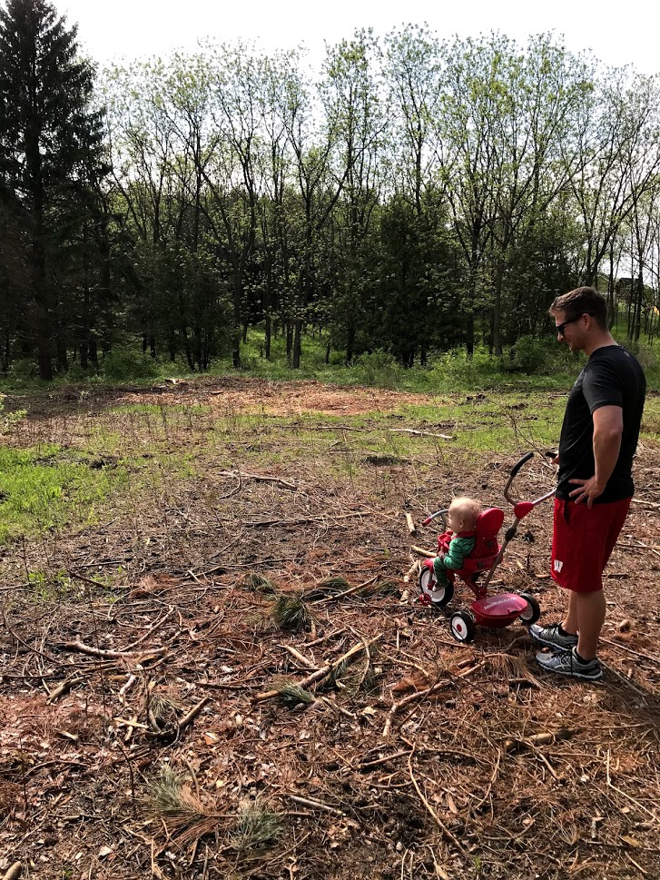 man and son looking over land