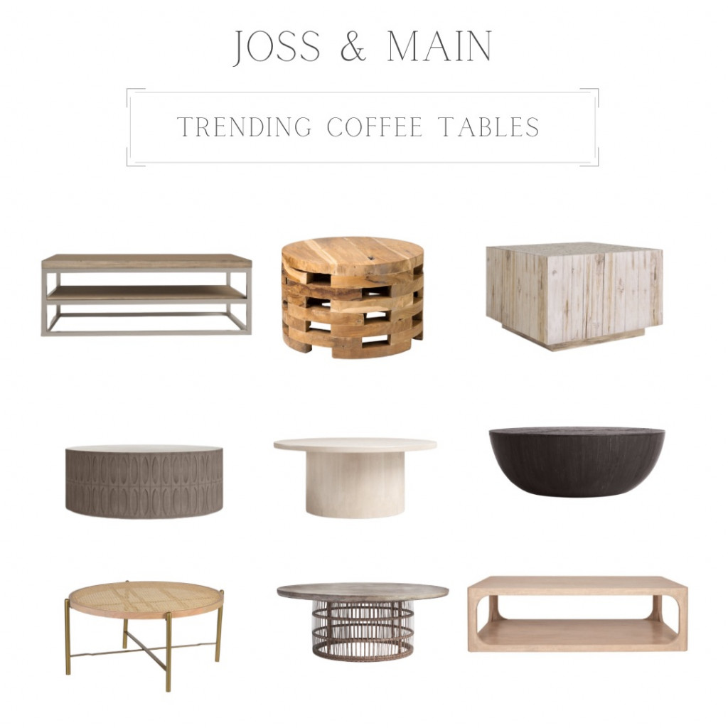 Kayla Haven— Joss & Main Coffee Table Picks