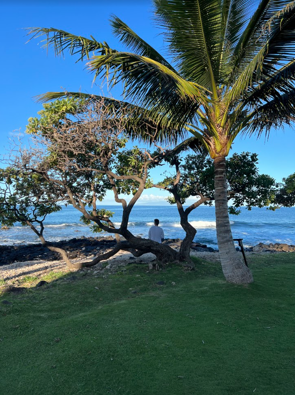Kayla Haven | Maui 